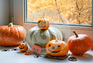 Halloween pumpkins by window at home. Vegetables set, sweets and decorations on white windowsill