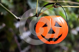 Halloween Pumpkins On Wood In A Spooky Forest