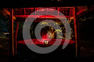 Halloween Pumpkins On Wood In A Spooky Forest At Night