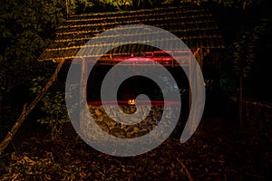 Halloween Pumpkins On Wood In A Spooky Forest At Night