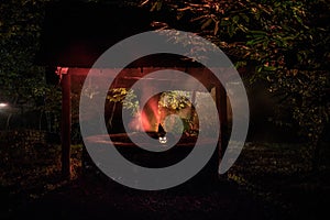 Halloween Pumpkins On Wood In A Spooky Forest At Night