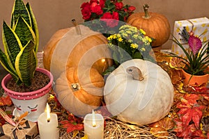 Halloween Pumpkins in the wooden crates with candles, straw, autumn leavesHalloween Pumpkins in the wooden crates with candles,