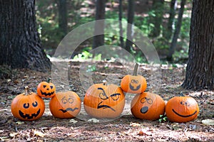 Halloween pumpkins in the woods