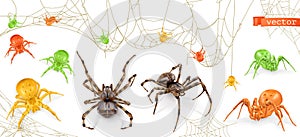 Halloween. Red, yellow and green spiders. 3d realistic vector icon set