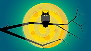 Halloween`s day background - A owl on stick front the moon