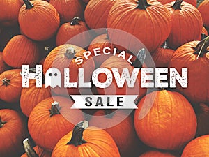 Halloween Sale Card with Fall Pumpkins Background