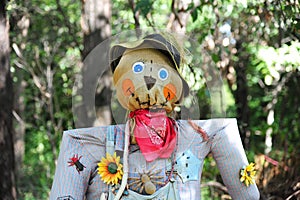 Halloween scarecrow in a field. photo