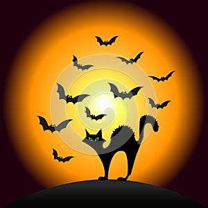 Halloween Scarry Cat