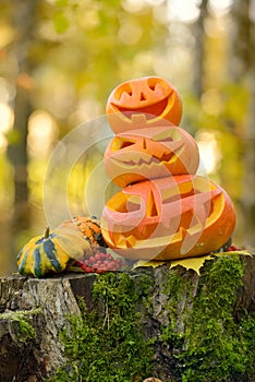 Halloween scary pumpkin in autumn forest