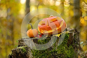 Halloween scary pumpkin in autumn forest