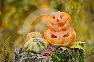 Halloween scary pumpkin in autumn forest