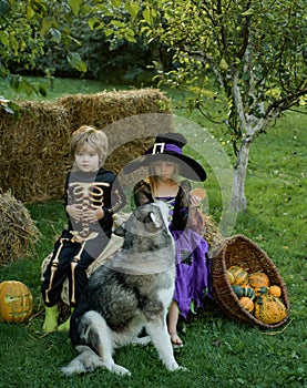 Halloween Scene with cute children. Trick-or-treating. Happy Halloween, cute toddler girl and boy playing outdoors