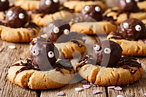 Halloween shortbread cookie with chocolate spiders close-up. horizontal