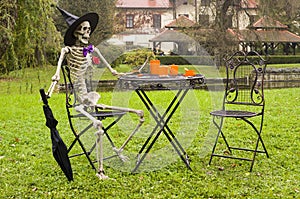 Halloween skeleton decoration in garden