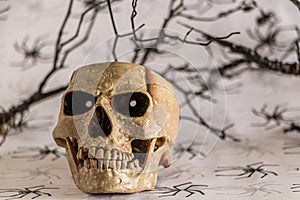 Halloween Skull head lantern on scary background.