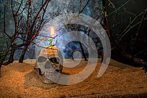 Halloween Skull head lantern on scary background.