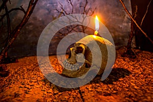 Halloween Skull head lantern on scary background.