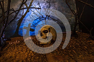 Halloween Skull head lantern on scary background.