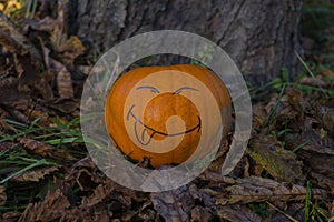 Halloween smiling pumpkin on the grass at autumn's park