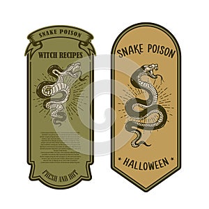 Halloween snake poison. Bottle label template. Design element for poster, card, banner, sign.