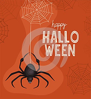 Halloween spider cartoon with spiderwebs vector design