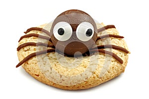 Halloween spider cookie isolated on white