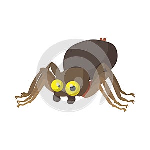 Halloween spider icon, cartoon style