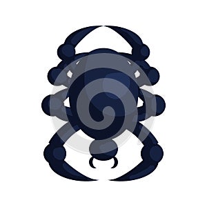 Halloween spider icon, cartoon style