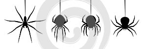 Halloween spider`s web vector. black spider on white background. danger insect. horror banner, scary poster. cobweb isolated