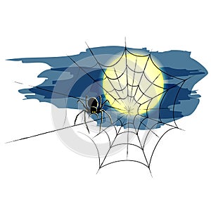 Halloween spider and spiderweb