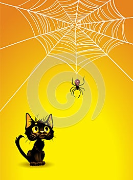 Halloween spider web and black cat background.