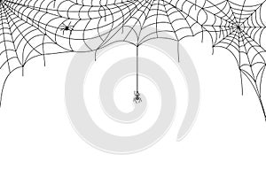 Halloween spider web border, spooky cobwebs with hanging spiders. Scary webs frame decoration, spiderweb silhouette