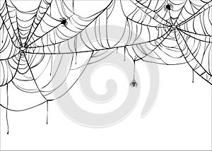 Halloween spiderweb vector background with spiders, copy space. Cobweb backdrop isolated on white