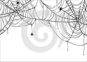 Halloween spiderweb vector background with spiders, copy space. Cobweb backdrop isolated on white