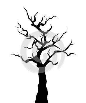 Halloween spooky bare tree. Vector black silhouette.