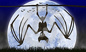 Halloween Spooky Bat Skeleton Silouhette Backlit By Large Moon
