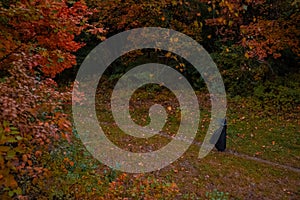 Halloween spooky black silhouette witch person walking back to camera in October forest colorful vibrant orange foliage natural