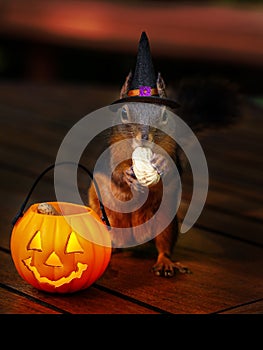 Halloween Squirrel Trick-or-Treat for Peanuts