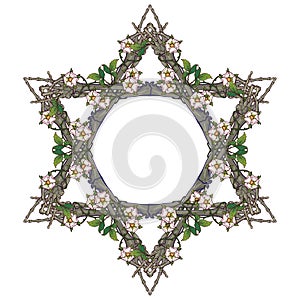 Halloween Star of David. Human hand bones and dog-rose flowers arranged in antcient religious symbol of Judaism.