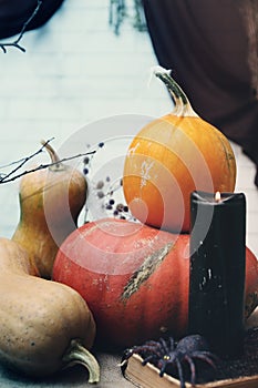 Halloween still life