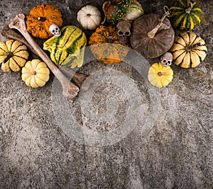 Halloween still life with pumpkin and skull