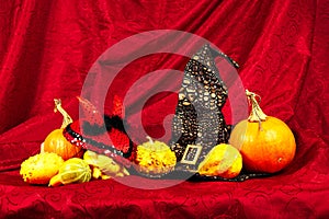 Halloween still life with pumpkins, witch hat and a devil red hat