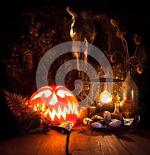 Halloween still life. Scary Halloween pumpkin, mushroom, candles, dried herbs, ferns and the skull of a dead animal with