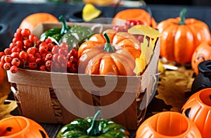 Halloween and thankgiving decoration: pumpkins, lanterns
