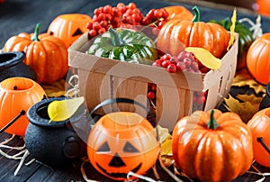 Halloween and thankgiving decoration: pumpkins, lanterns, basket