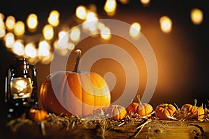 Halloween or Thanksgiving background