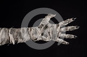 Halloween theme: terrible old mummy hands on a black background