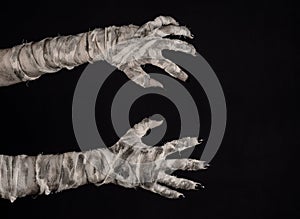 Halloween theme: terrible old mummy hands on a black background