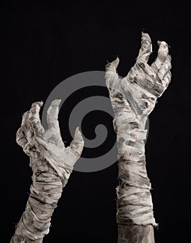 Halloween theme: terrible old mummy hands on a black background