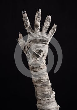 Halloween theme: terrible old mummy hands on a black background